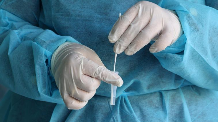 is marburg virus dangerous?