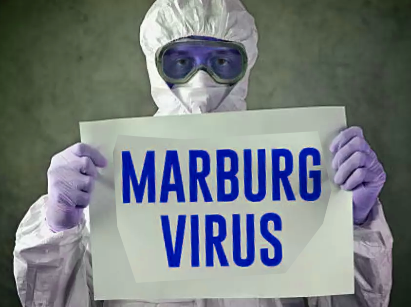 Marburg virus is it dangerous ?