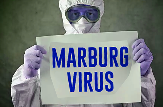 Marburg virus is it dangerous ?