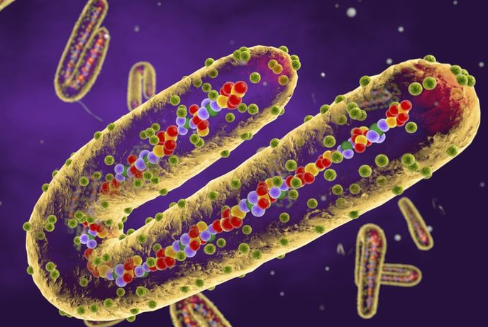 Is Marburg more contagious than Ebola?