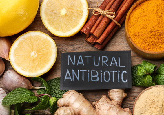 What are the 7 main types of antibiotics?