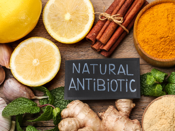 What are the 7 main types of antibiotics?