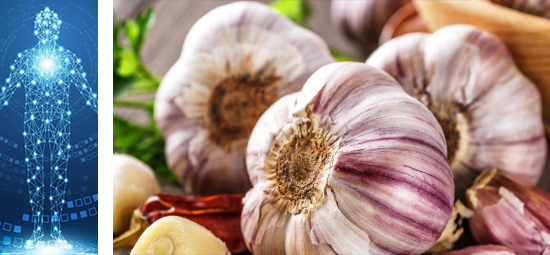 Here are some of the potential health benefits of garlic: