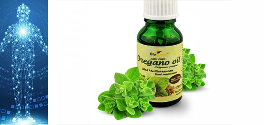 potential health benefits of oregano
