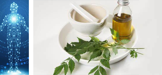 Neem oil may have antimicrobial properties