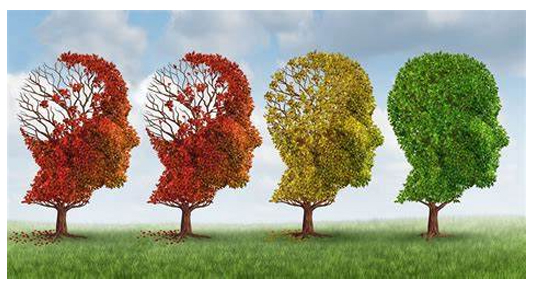 People with Alzheimer's disease live for about 8 to 10 years