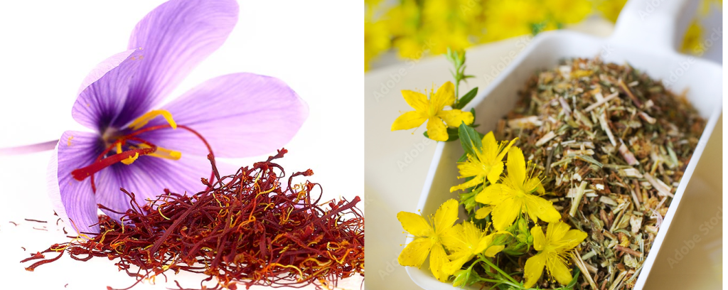 some antidepressants plants