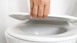 AIDS/HIV can be transmitted .. toilet seat