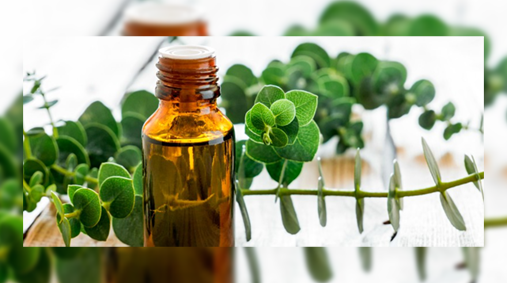 Some essential oils, such as peppermint or eucalyptus oil, may help open up the nasal passages, which can help reduce snoring