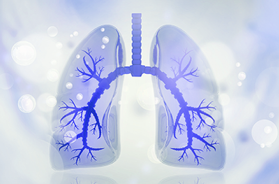 What are the main 6 types of asthma