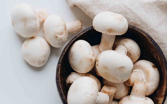 Agaricus bisporus (button mushroom)