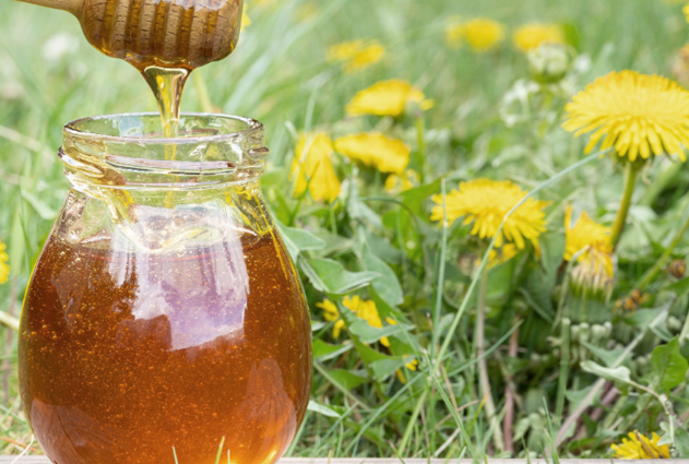 Dandelion honey is high in antioxidants and vitamins